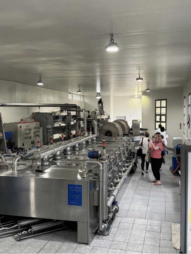 w1IcH4Jy_antonoliva_extra_virgin_olive_oil_tours_visit_olive_press_f14.webp